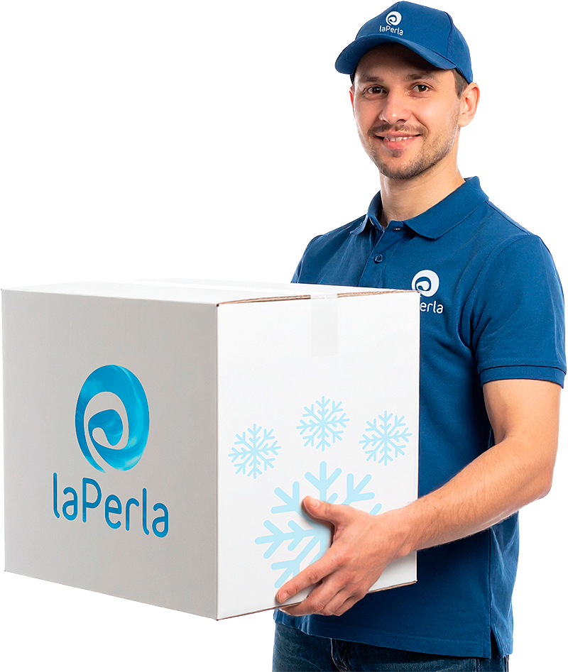 REPARTIDOR_DISTRIBUCIONES_LAPERLA_2